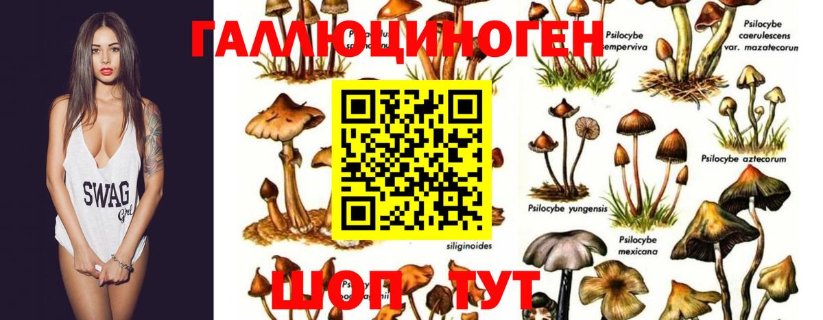 Псилоцибиновые грибы мухоморы Тюмень